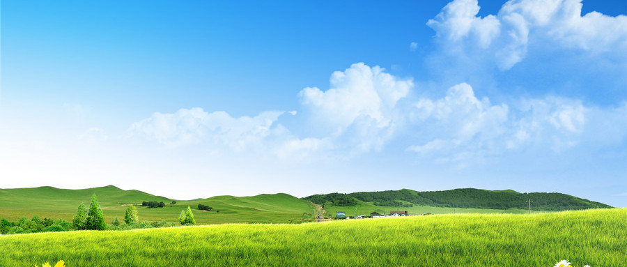 仙居学办公软件与计算机软件开发 费用、路径与前景解析